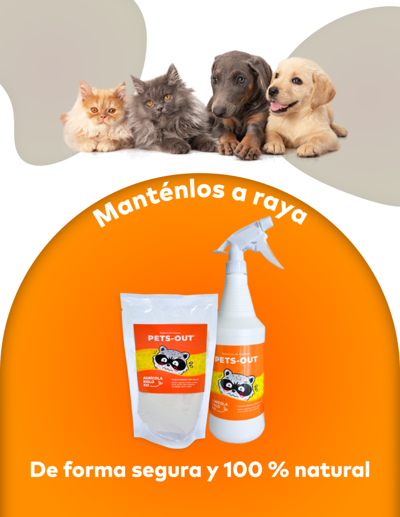 afiche petsout