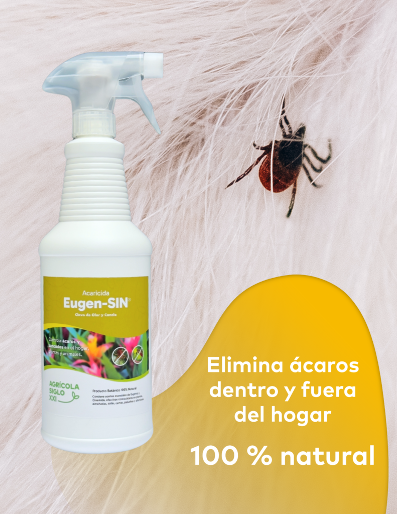 afiche eugensin