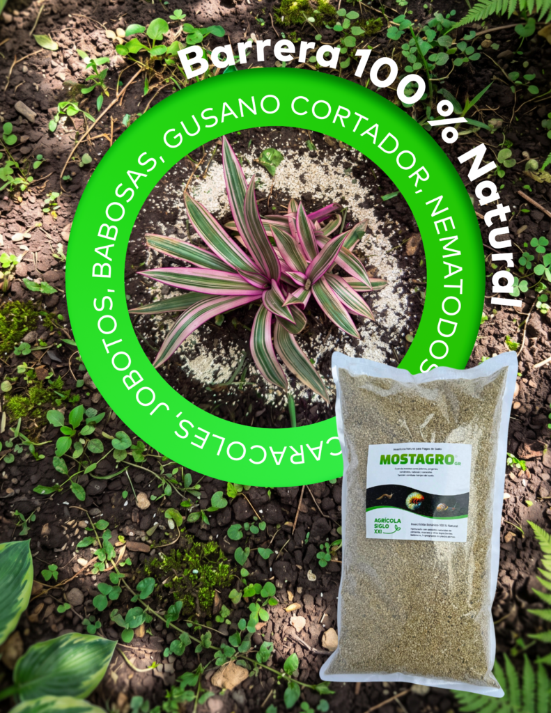 afiche mostagro